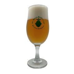SET 6 BICCHIERI ROMA 33 CL PER DEGUSTAZIONE BIRRA